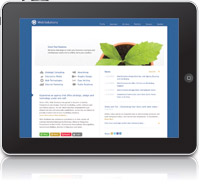 Web Solutions FREE iPad